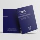 Tesis tapa blanda