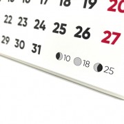 Detalle Lunario Calendario sobremesa 2022