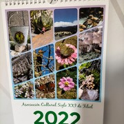 Calendario A4 ( 13 laminas) 2021