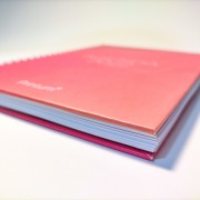 Agendas Personalizadas