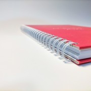 Agendas Personalizadas