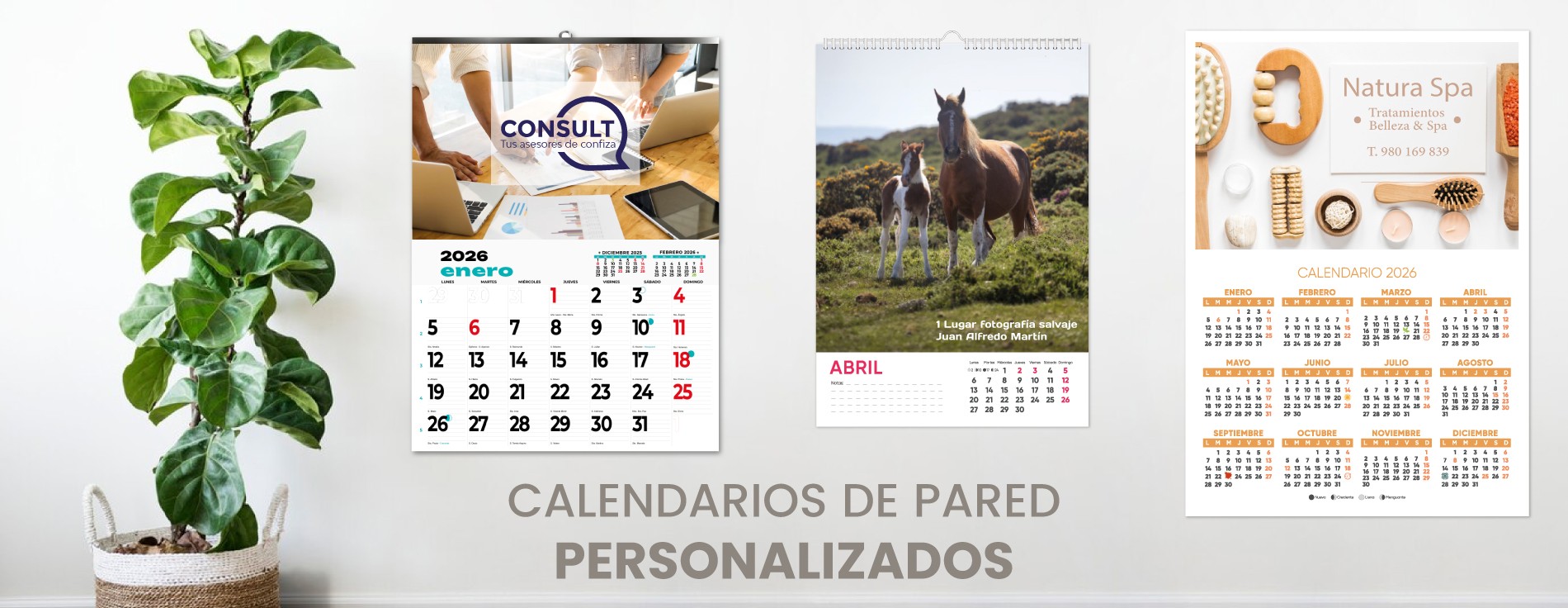 Calendarios de pared